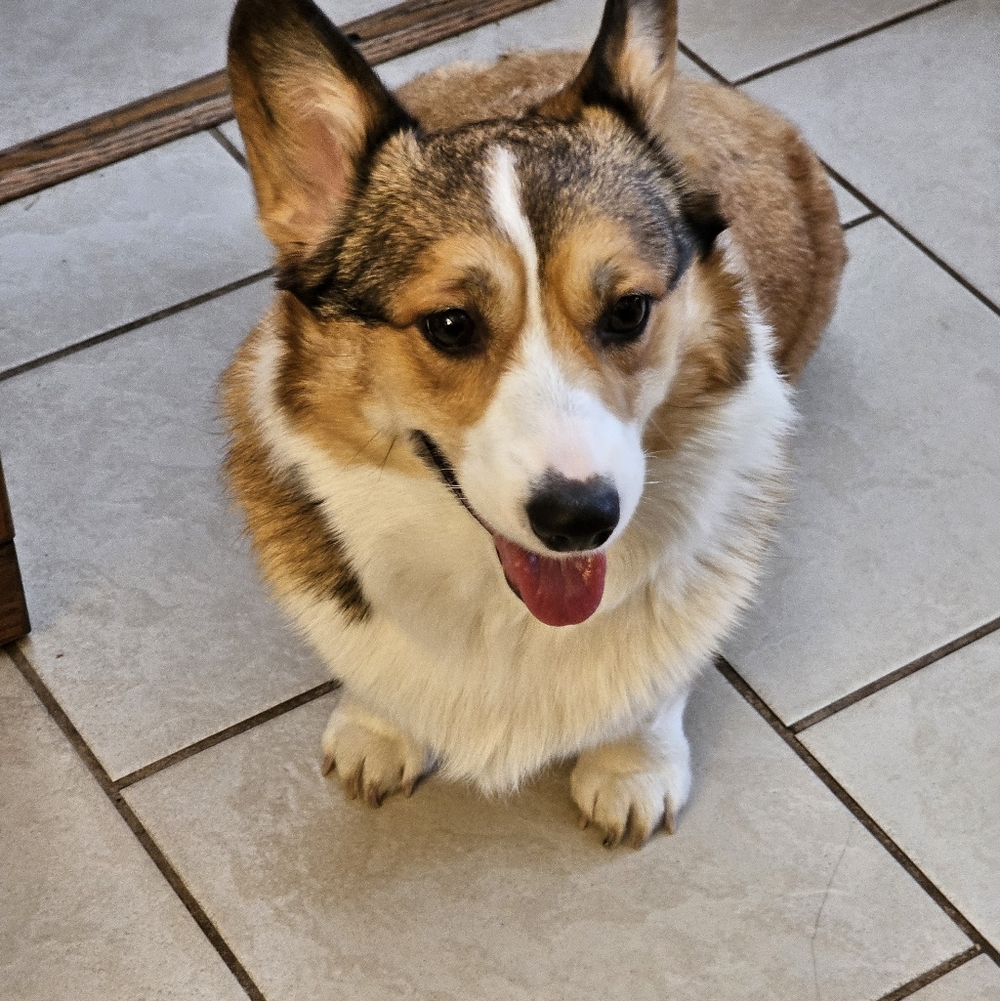 Meet your Posher, Catherine